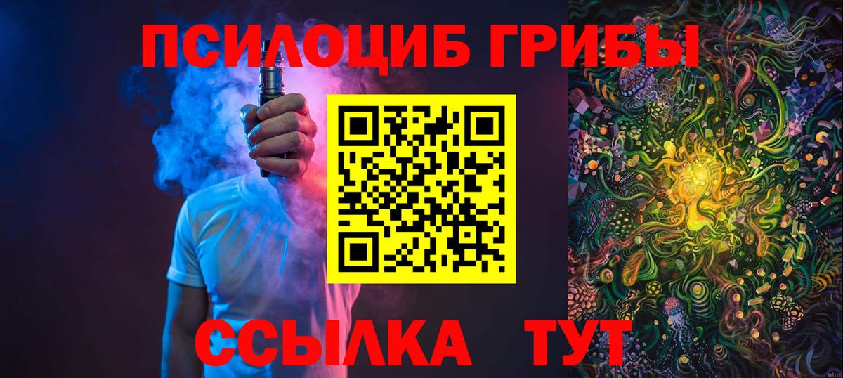 Кузнецк  Псилоцибиновые грибы MAGIC MUSHROOMS  Вход с VPN  Псилоцибиновые грибы Cubensis 