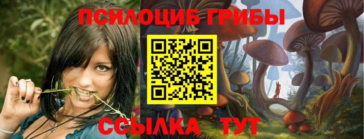 Псилоцибиновые грибы ЛСД Кузнецк